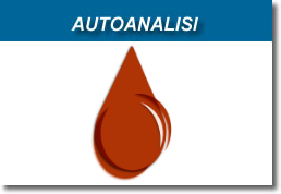 Autoanalisi